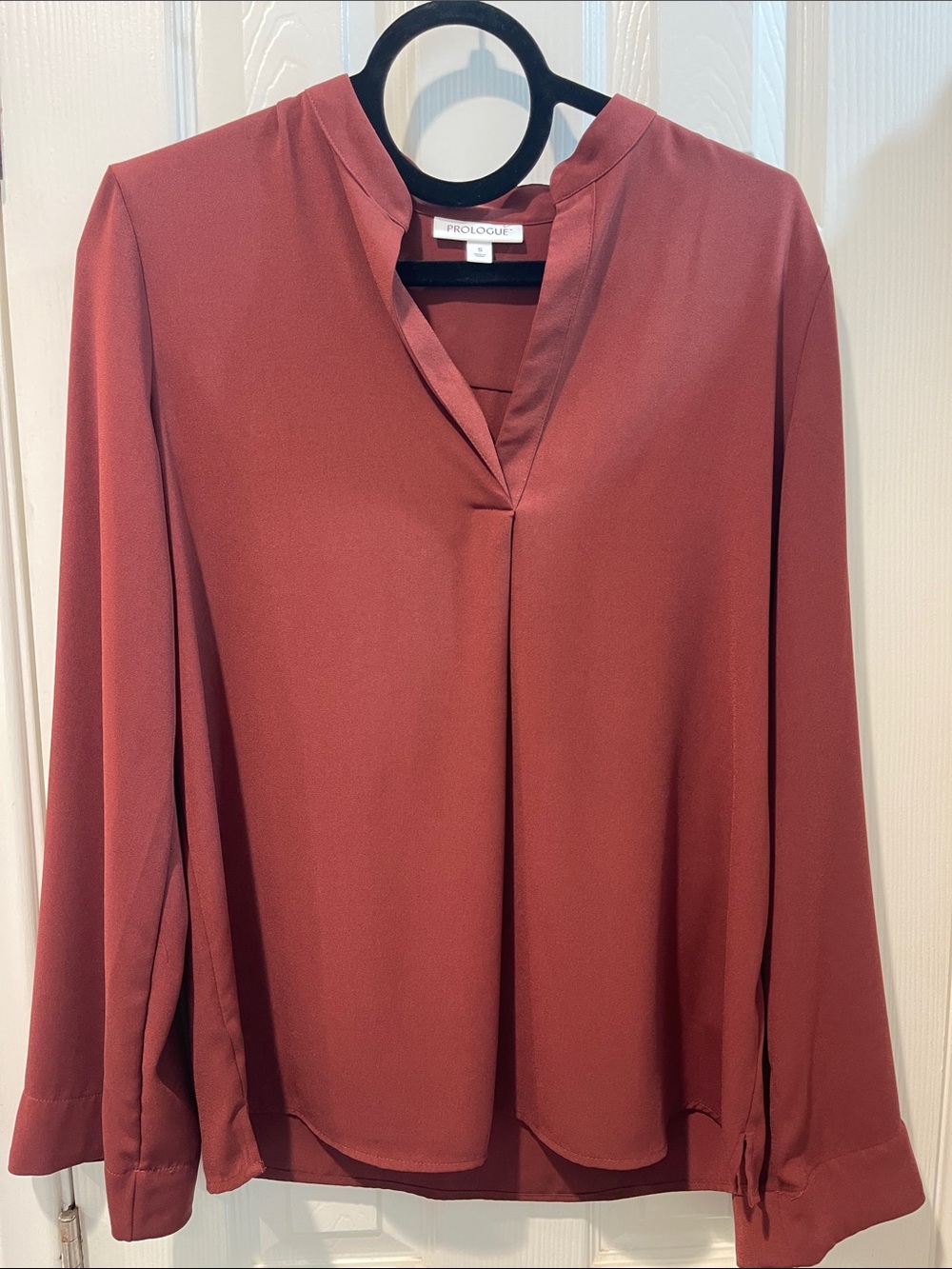 Prologue Rust V-Neck Long-Sleeve Blouse Deep Rust